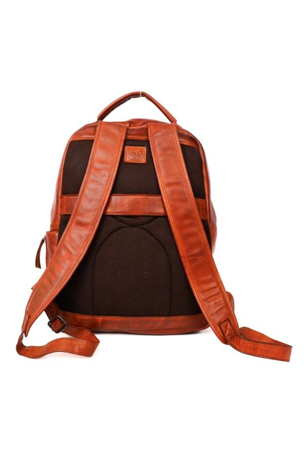 Borse Uomo Bear MACE COGNAC